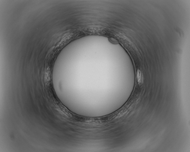 X0000113121107200909181643