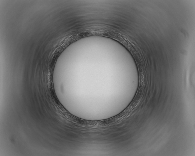 X0000113121108200909181643