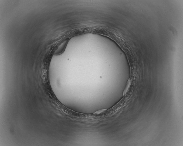 X0000113121109200909181643