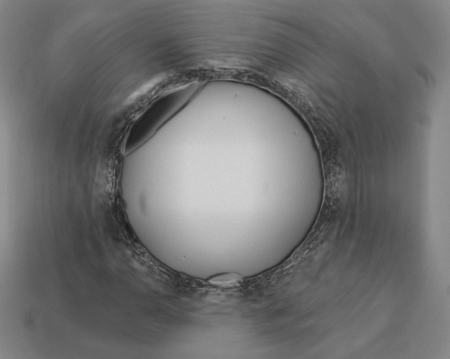 X0000113121110200909181643