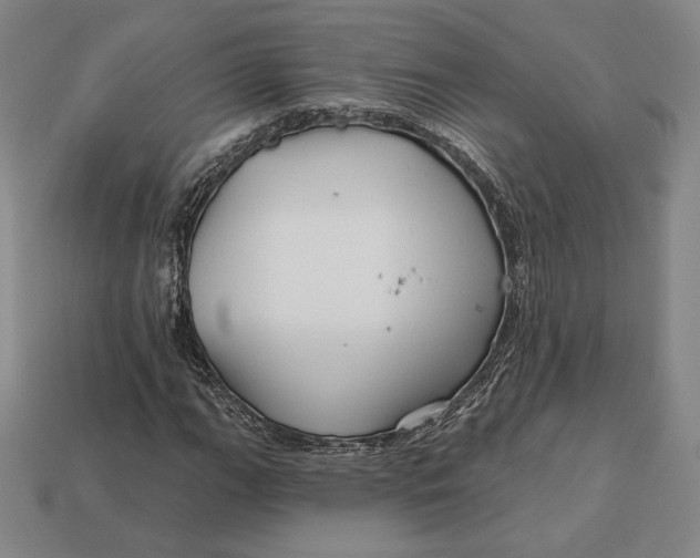 X0000113121111200909181643