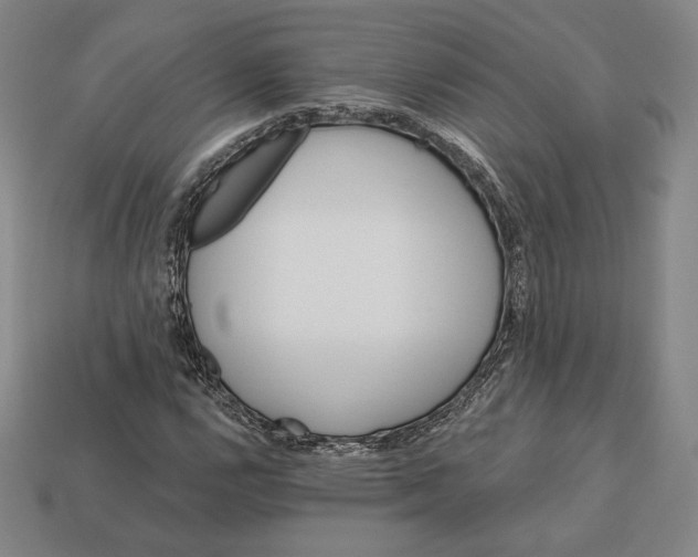 X0000113121112200909181643