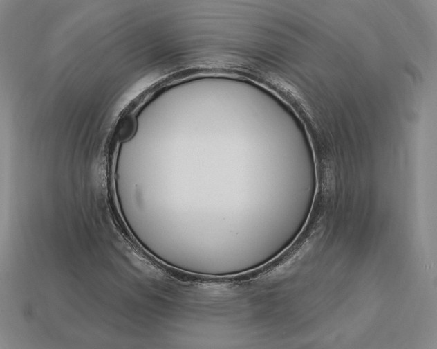 X0000113121114200909181643