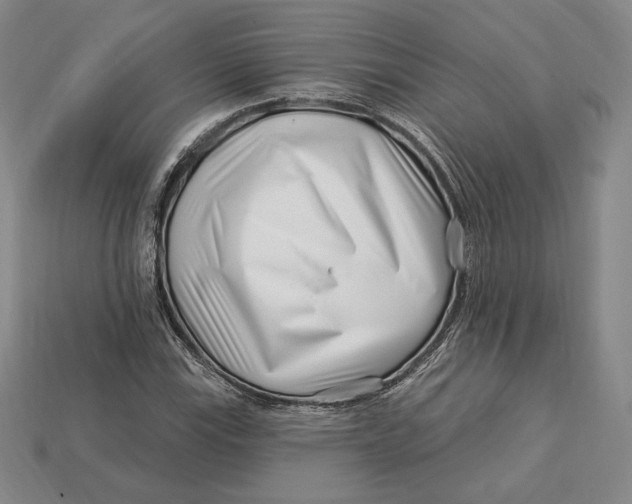 X0000113121115200909181643