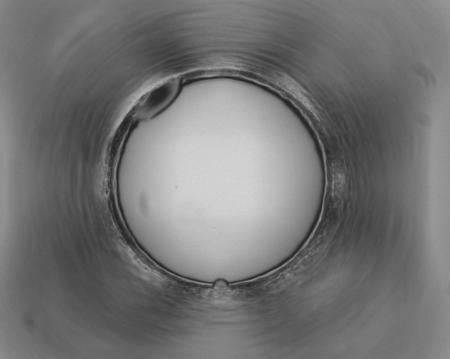 X0000113121116200909181643