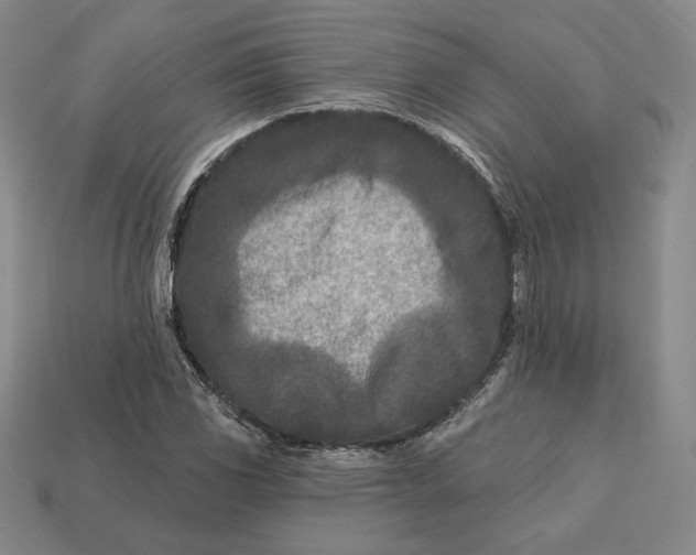 X0000113121117200909181643