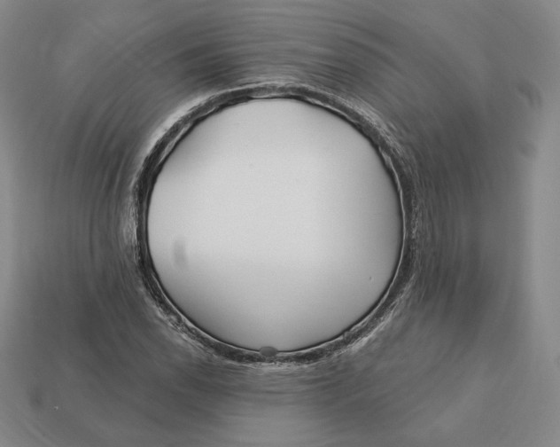 X0000113121118200909181643