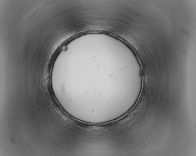 X0000113121119200909181643