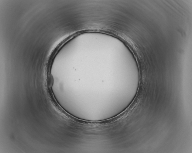 X0000113121120200909181643