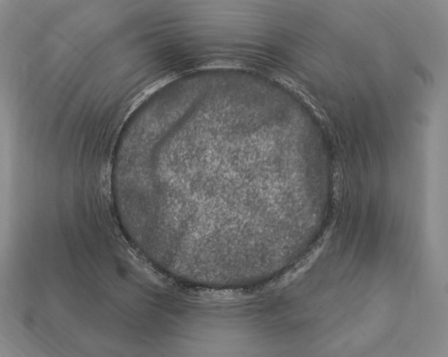 X0000113121121200909181643