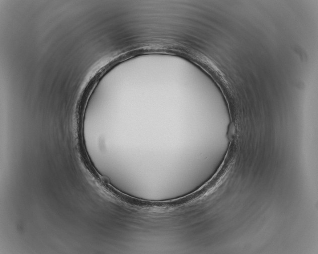 X0000113121122200909181643