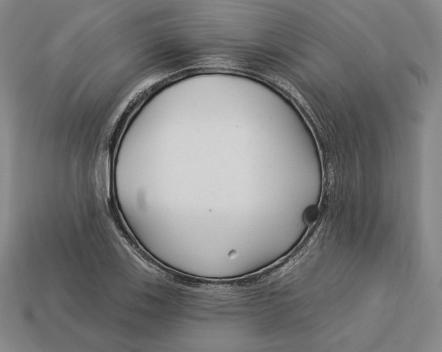 X0000113121123200909181643