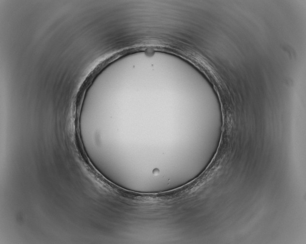 X0000113121124200909181643