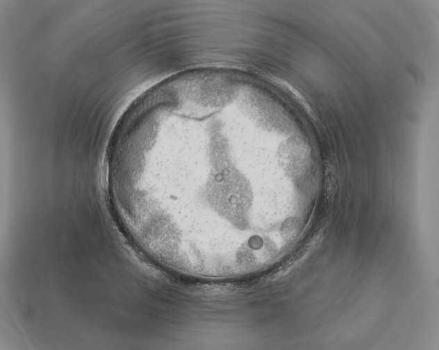 X0000113121125200909181643