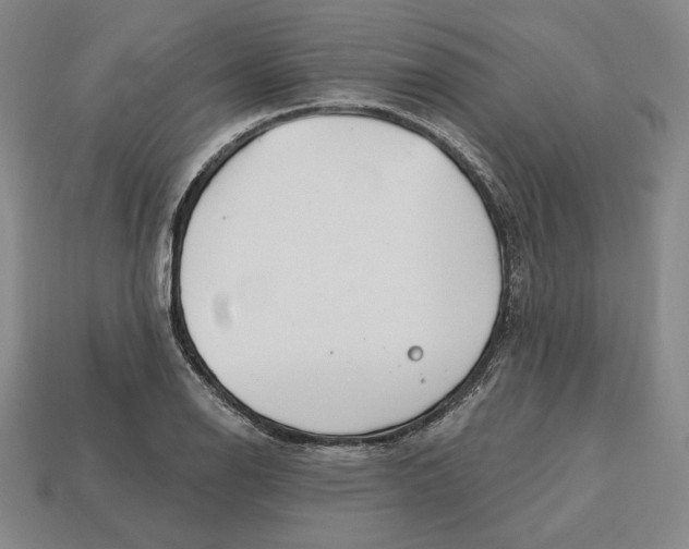 X0000113121126200909181643