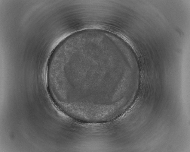 X0000113121127200909181643