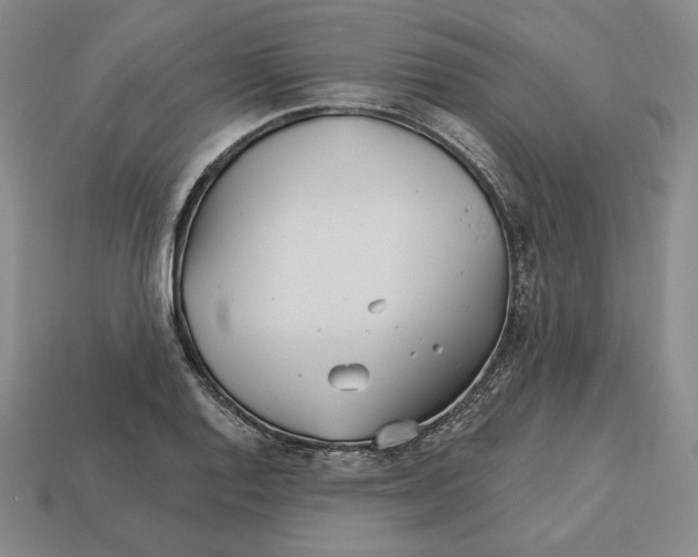 X0000113121128200909181643