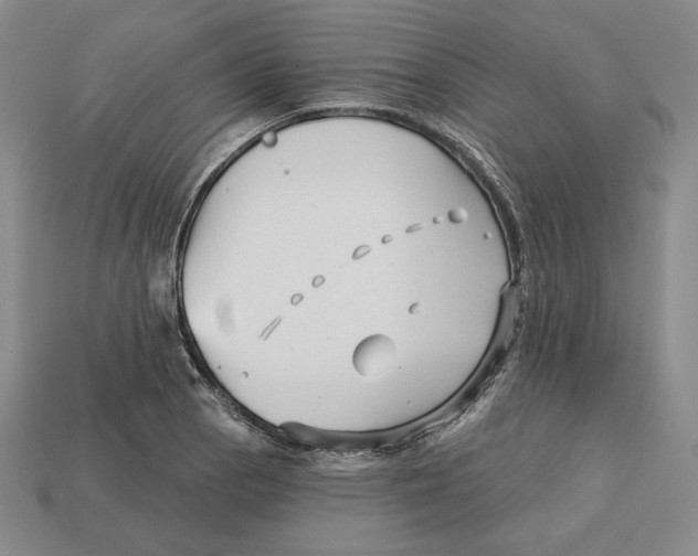 X0000113121129200909181643