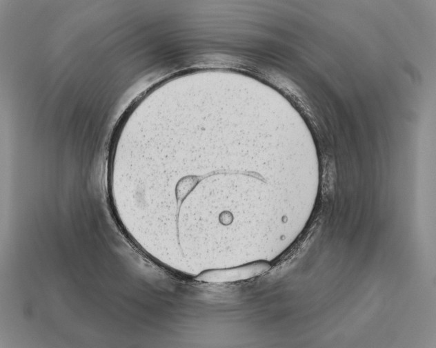 X0000113121130200909181643