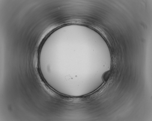 X0000113121131200909181643