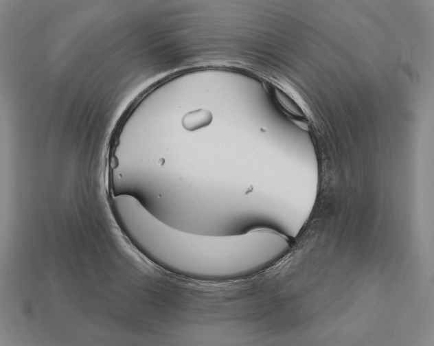 X0000113121132200909181643