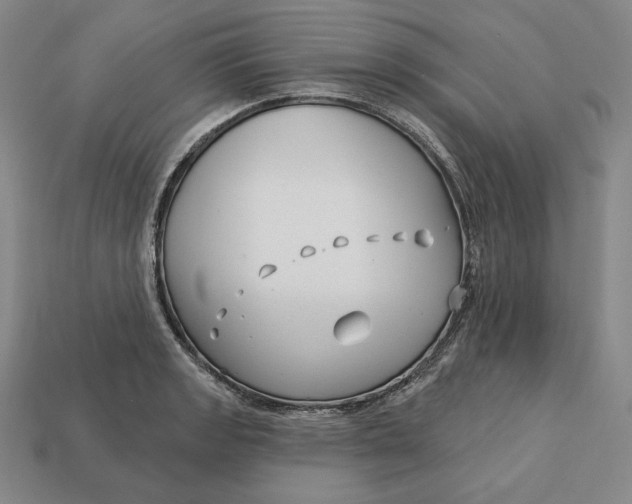 X0000113121133200909181643