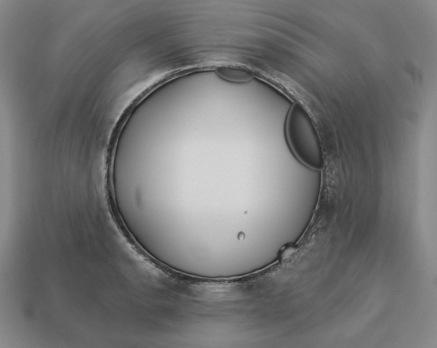 X0000113121134200909181643