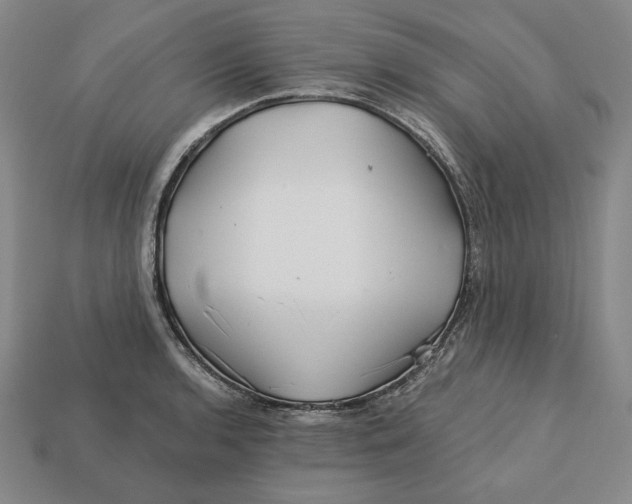 X0000113121136200909181643