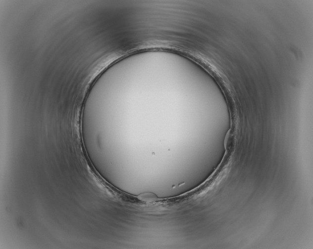 X0000113121137200909181643