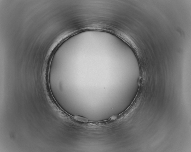 X0000113121138200909181643