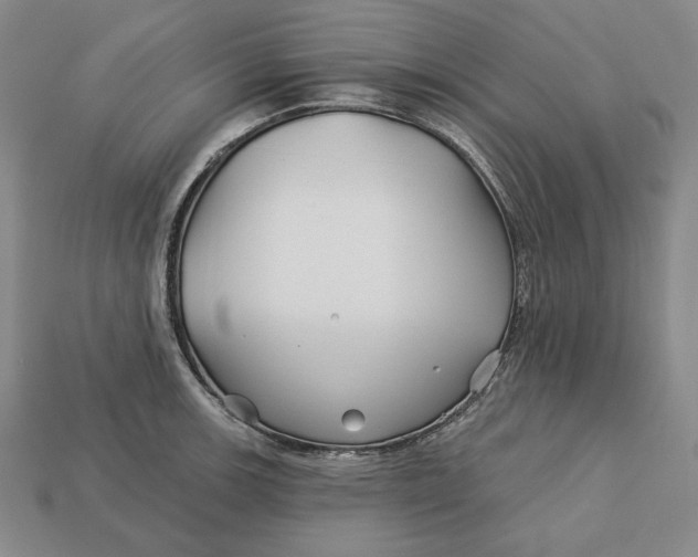 X0000113121139200909181643