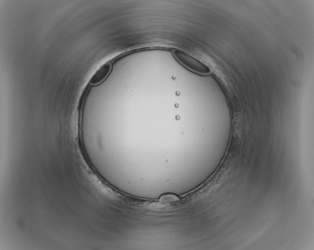 X0000113121140200909181643