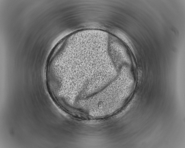 X0000113121141200909181643