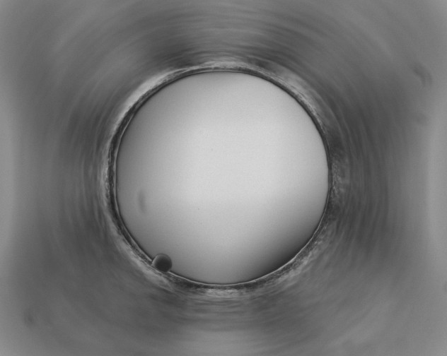 X0000113121142200909181643