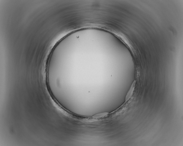 X0000113121143200909181643