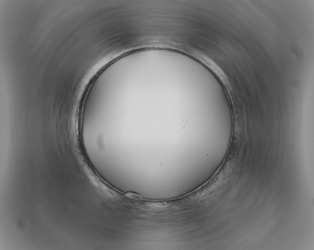 X0000113121144200909181643