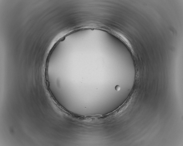 X0000113121146200909181643