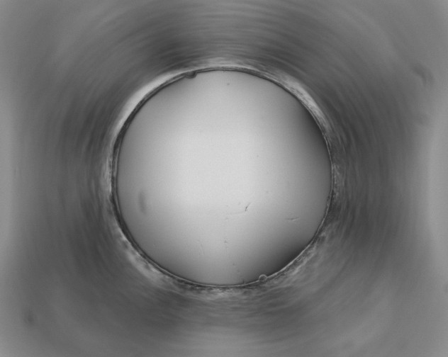 X0000113121148200909181643