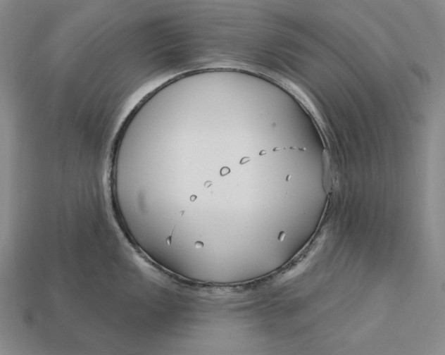 X0000113121149200909181643