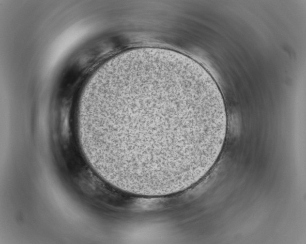 X0000113121150200909181643