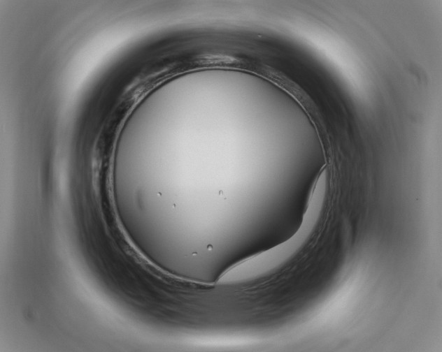 X0000113121151200909181643