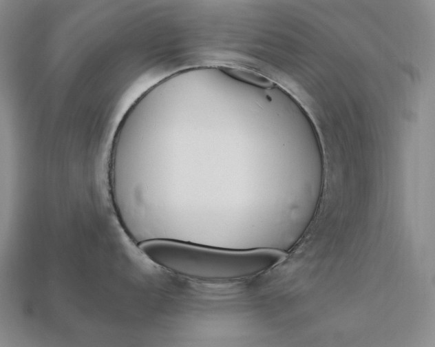 X0000113121152200909181643