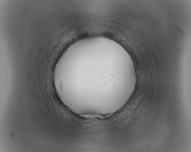 X0000113121153200909181643