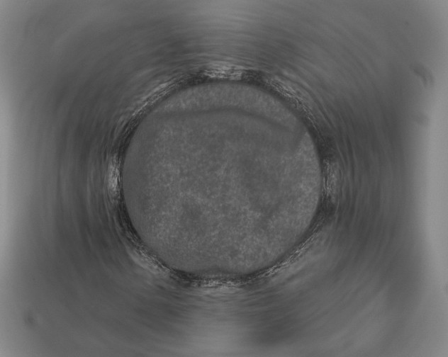 X0000113121154200909181643