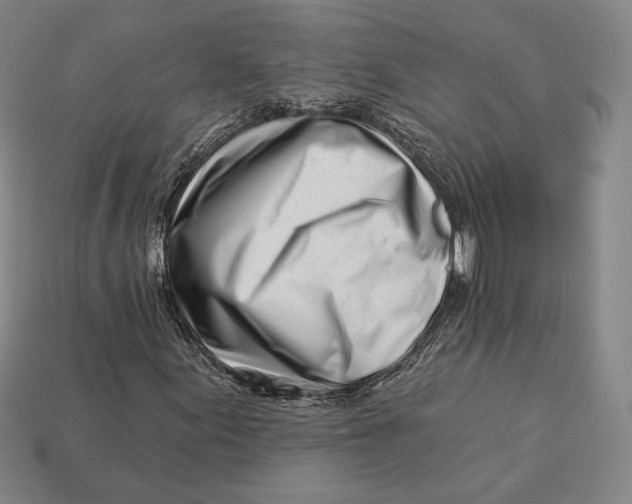 X0000113121155200909181643