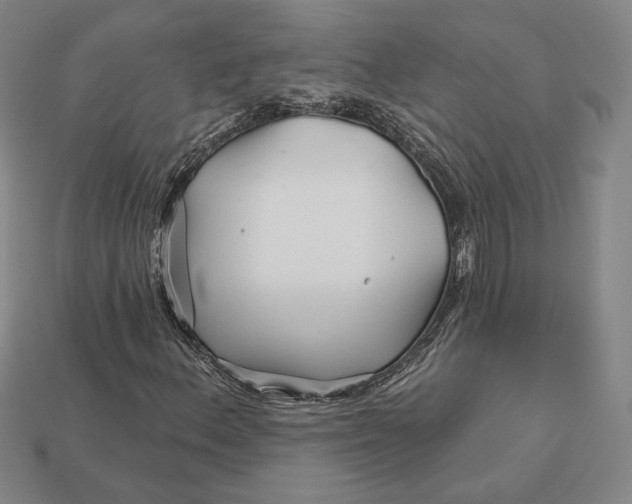 X0000113121156200909181643