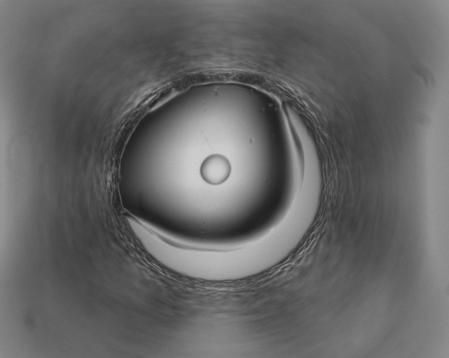 X0000113121157200909181643