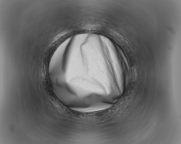 X0000113121158200909181643