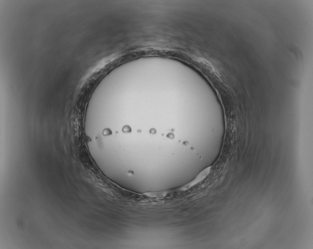 X0000113121159200909181643