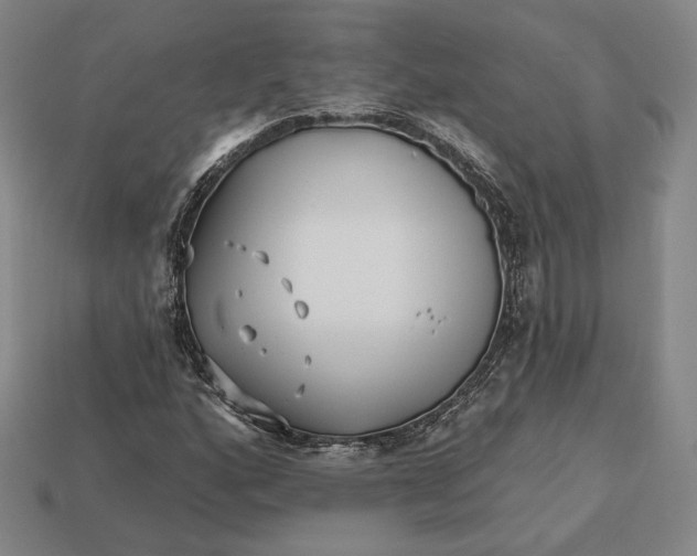 X0000113121160200909181643